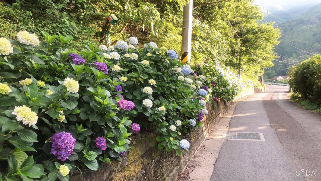 Geoje Cablecar Pension エクステリア 写真