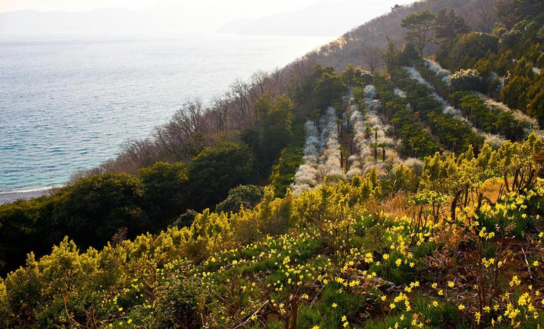 Geoje Cablecar Pension エクステリア 写真